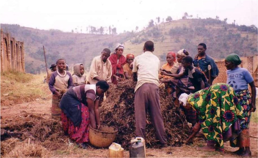 Soil and Land Management in Rwanda: Challenges and Pathways for Sustainable Agriculture